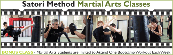 martial_arts_classes